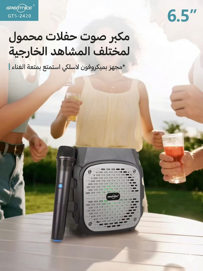 6.5 بوصة مكبر صوت محمول بمقبض مدمج GTS-2420